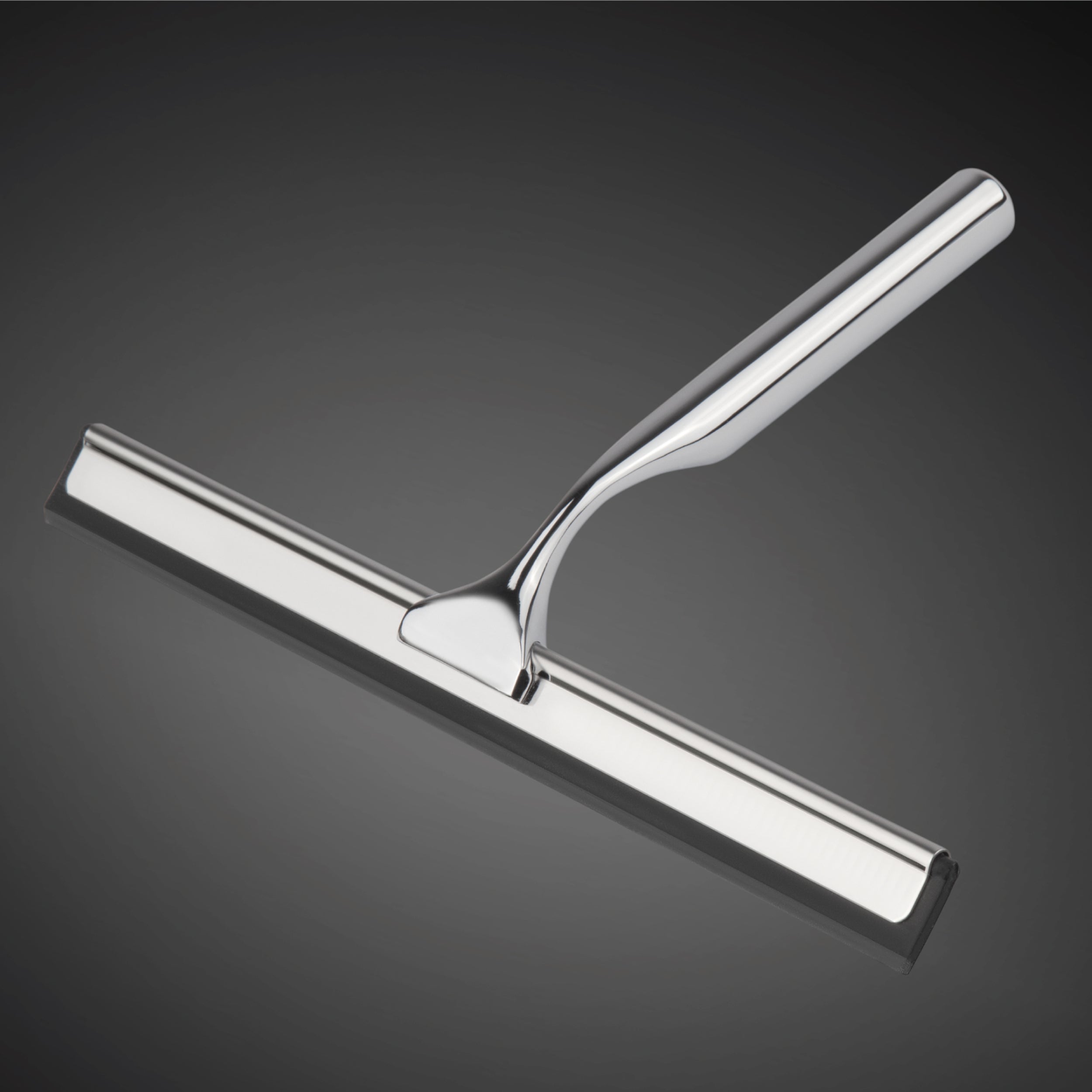 DSV Standard All-Purpose Shower Squeegee for Shower Doors, Bathroom, and Car Windshield - Stainless Steel, Mini Window Cleaner Tool with Adhesive Hook - 10''
